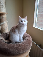 /album/113/whatsapp-image-2026-02-23-at-21-20-16-2-jpeg/